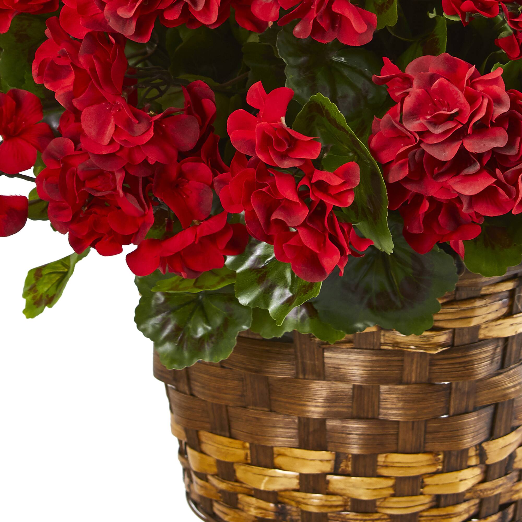 19" Geranium in Hanging Basket